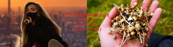 MESCALINE Майский