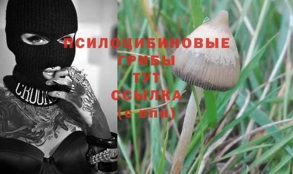 кокс Магас