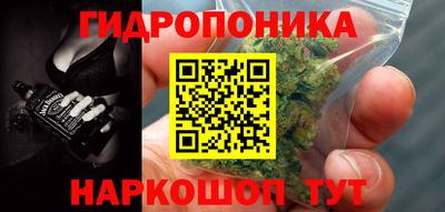 шишки Будённовск