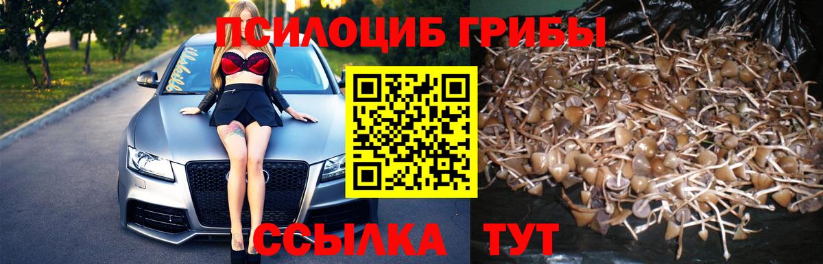 Еманжелинск  Галлюциногенные грибы Magic Shrooms  Вход с VPN  Псилоцибиновые грибы мицелий 